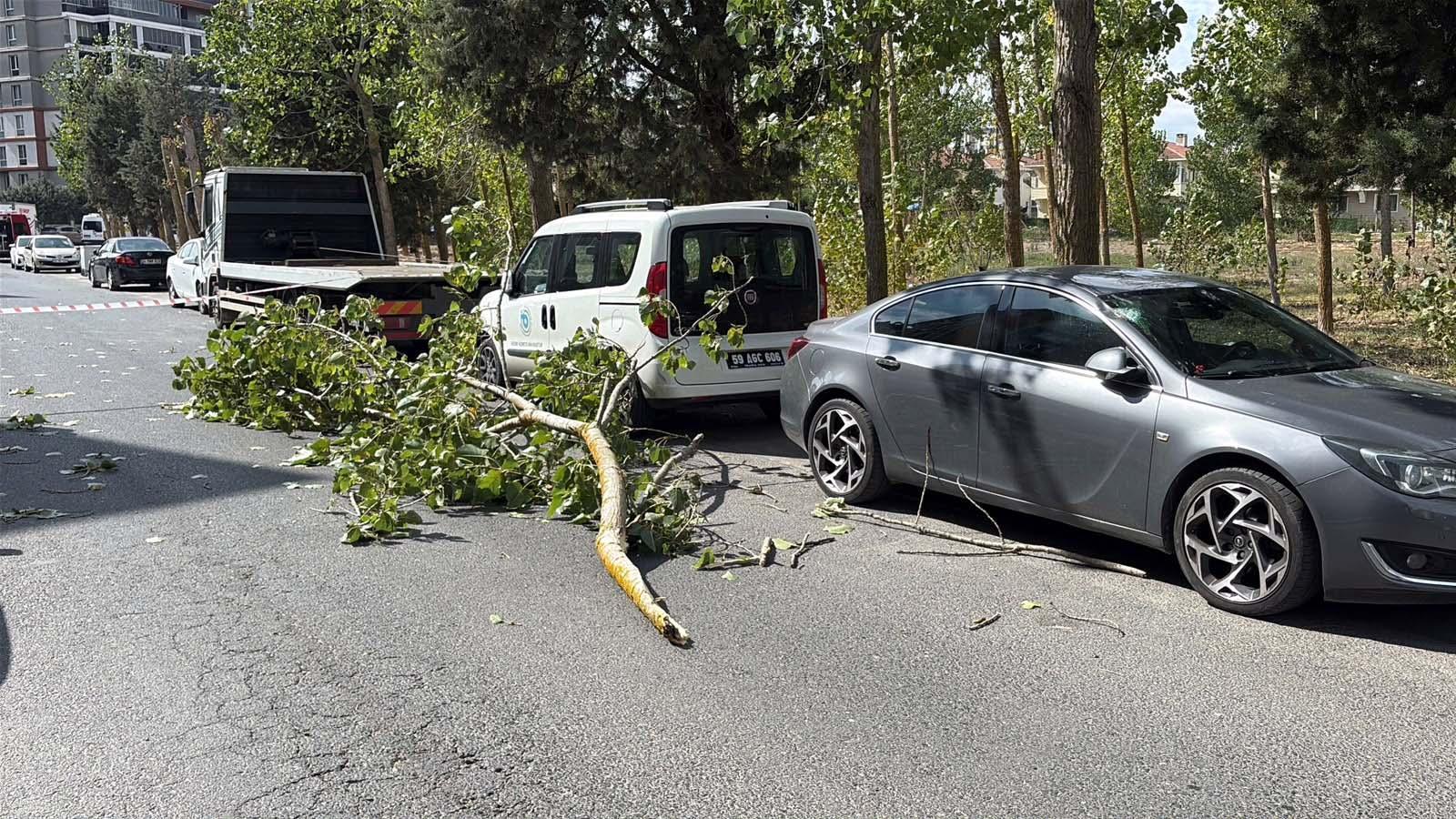 Şiddetli rüzgarda kırılan ağaç dalı, park halindeki iki aracın üstüne devrildi Şiddetli rüzgarda kırılan ağaç dalı, park halindeki iki aracın üstüne devrildi