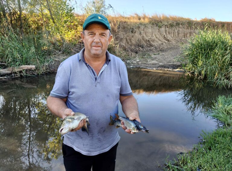 Tekirdağ’da derede toplu balık ölümlerine inceleme
