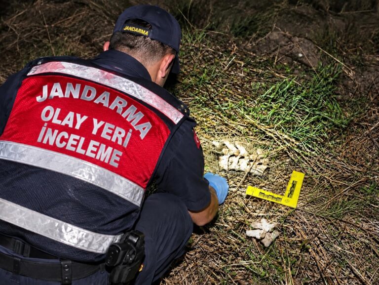 Tarlada Kafatası ve Kemik Bulundu