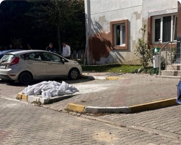 7. Kattan Düştü: Hayatını Kaybetti