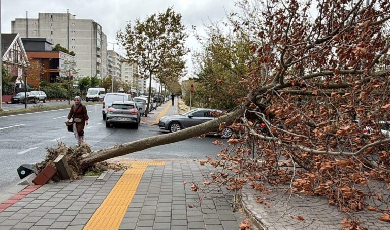Fırtına Etkili Oldu: Ağaçlar Devrildi, Balıkçılar Açılamadı