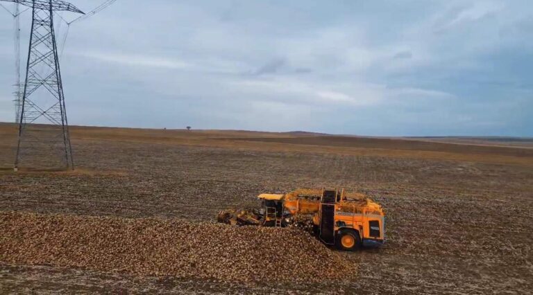 Tekirdağ’da şeker pancarında dekar başına 10 ton verim elde edildi